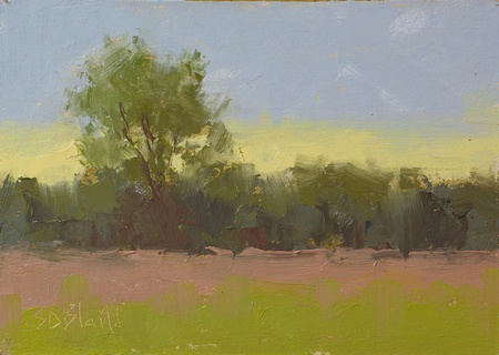 A plein air oil sketch done at Bronze Hill Farm in Middleburg, VA.